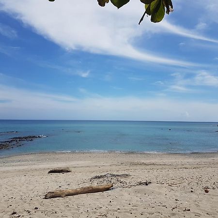Pura Vida House Cabo Blanco Villa นิโกยา ภายนอก รูปภาพ