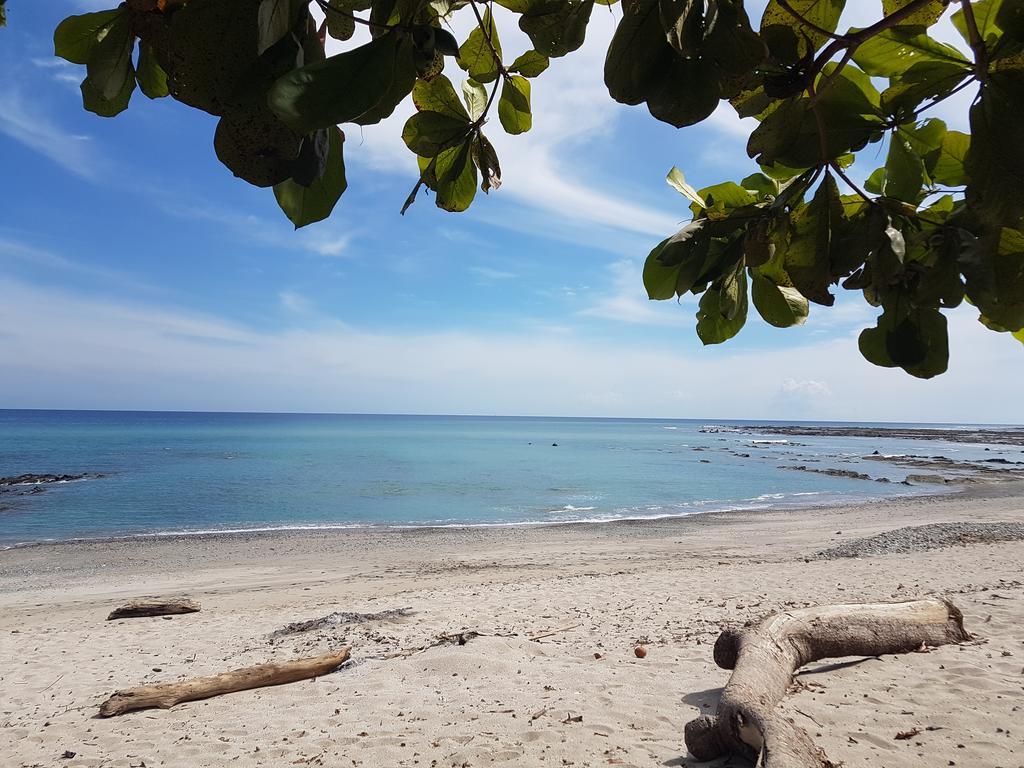 Pura Vida House Cabo Blanco Villa นิโกยา ภายนอก รูปภาพ